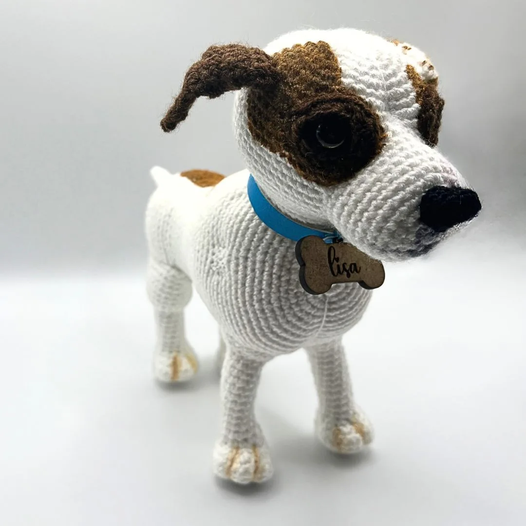 Mascota amigurumi principal